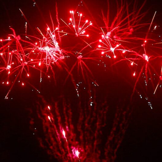 TROPIC PRO BZ49S-6010