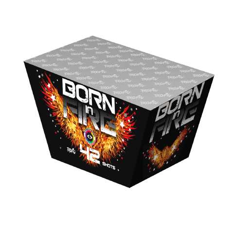 TW 14 - Born in Fire Black