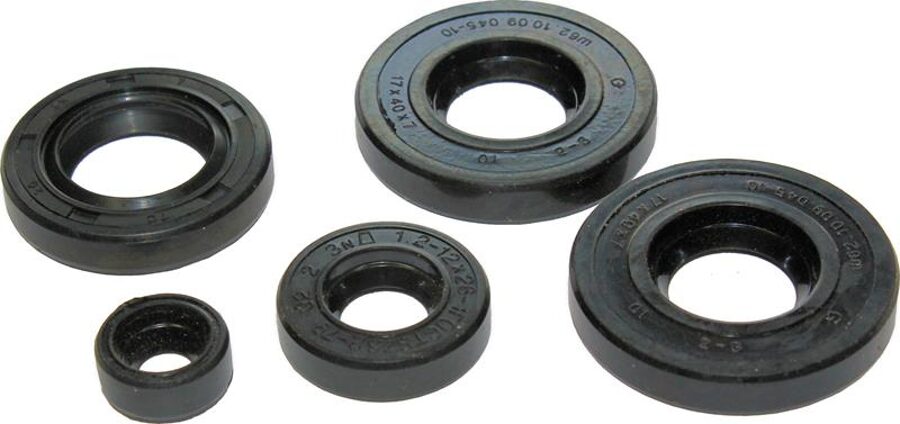 Blīvslēgu komplekts mopēda Karpati/Delta