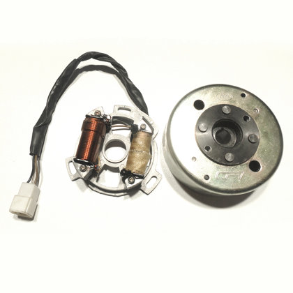 2T 50cc ģenerators kopa ar magnētu